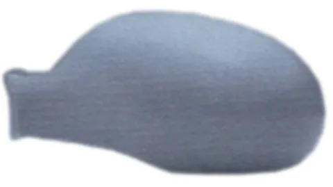 Coque rétroviseur gauche pour CITROËN C5 I phase 1, 2001-2004, Neuve à peindre