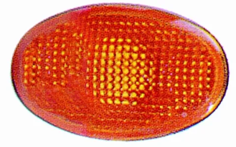 Feu clignotant aile avant droit ou gauche pour FORD KA 1996-2008, Orange, Neuf