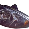 Phare optique électrique avant droit pour FORD FOCUS I phase 2, 2001-2004, H7+H1, fond noir, Neuf