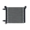 Radiateur de refroidissement moteur pour BMW Serie 1 F40 depuis 2019, OEM: 17117634565, Neuf